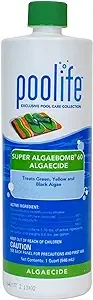 poolife Super Algae Bomb 60 (1 qt) (2 Pack)