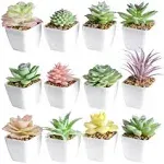 Tiita Artificial Faux Succulents in Pots Fake Plants Ceramic Arrangement Planter Small Mini Tiny Decoration for Home Office Desk Window Sill Bathroom Bedroom Outdoor Indoor 12 Set