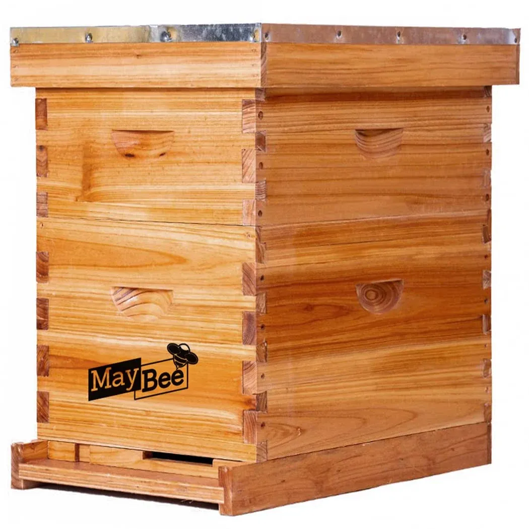 Beehive 8 Frame Bee Hives and Supplies Starter Kit, Bee Hive for Beginner, Honey Bee Hives Includes 1 Deep Bee Boxes, 1 Bee Hive Super with Beehive