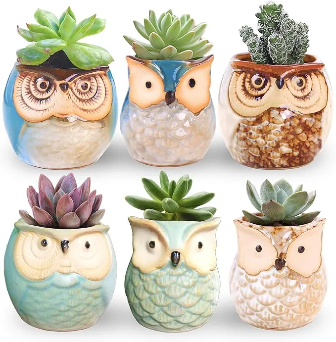 6 Pcs 2.5 Inches Owl Pots, Little Ceramic Succulent Bonsai Pots with a Hole - Pack of 6