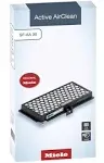 Miele SF AA 30 Charcoal Vacuum Filter - Fits Models S2, S7, S300-S899, C1, U1 