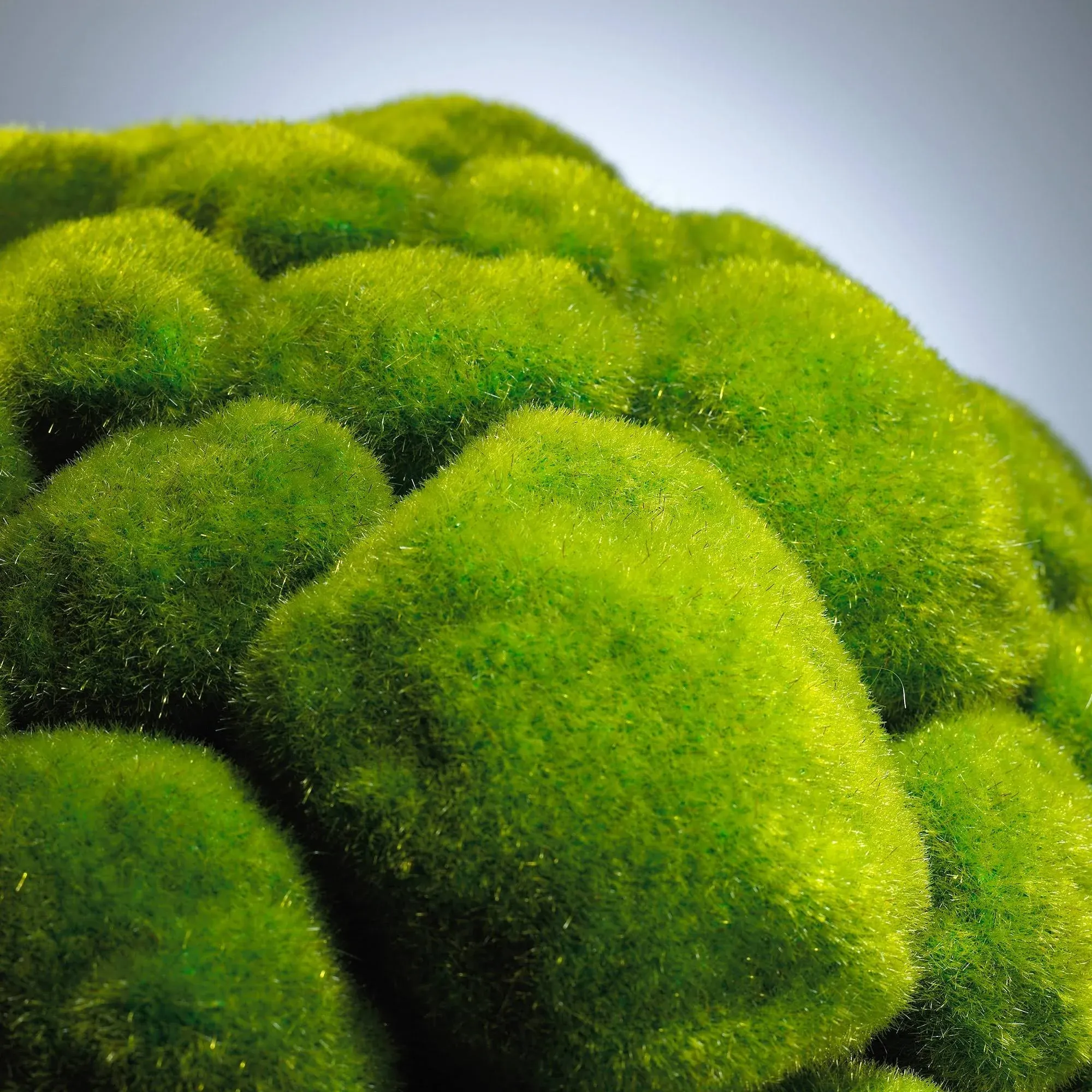 Cyan Design - Moss Sphere in Moss Green - Small - 02607