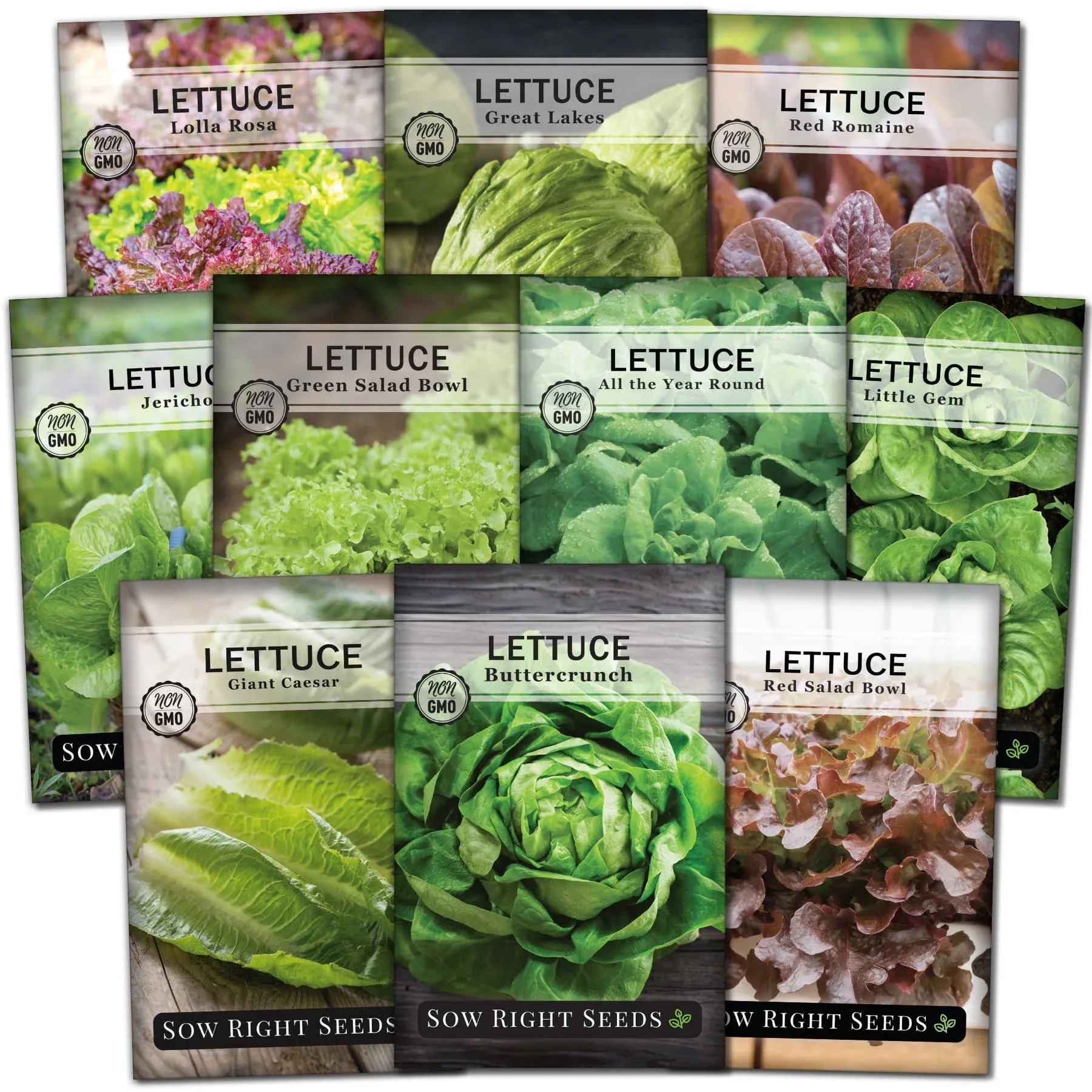 Sow Right Seeds - Large Lettuce Seed Collection for Planting - Buttercrunch, Jericho, Great Lakes, Salad Bowl, Little Gem, Giant Caesar and Lolla Rosa - Non-GMO Heirloom - Outdoors, Hydroponic Growing