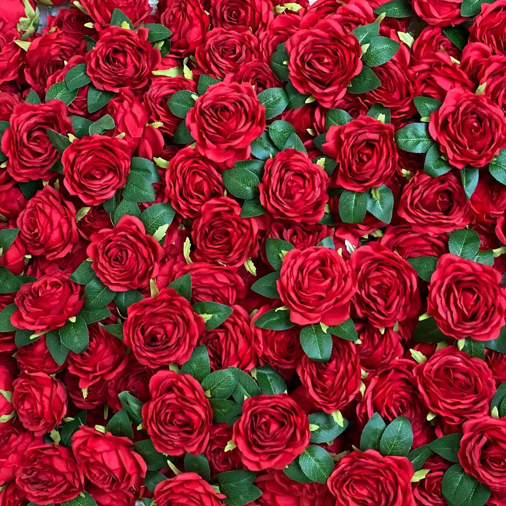 Olivachel 72pcs Rose in Bulk Artificial Rose Heads with Stems & Leaves Silk Flowers for Home Wedding Decor Flower Storefront Restaurant Wall Decor (Red - 72Pcs)