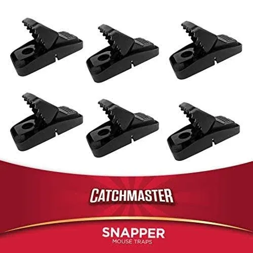 Catchmaster 605P Easy-Set Mouse Traps - Snap Traps for Mice - 6 Traps by Ap&g, Size: 6 Mouse Traps, Black