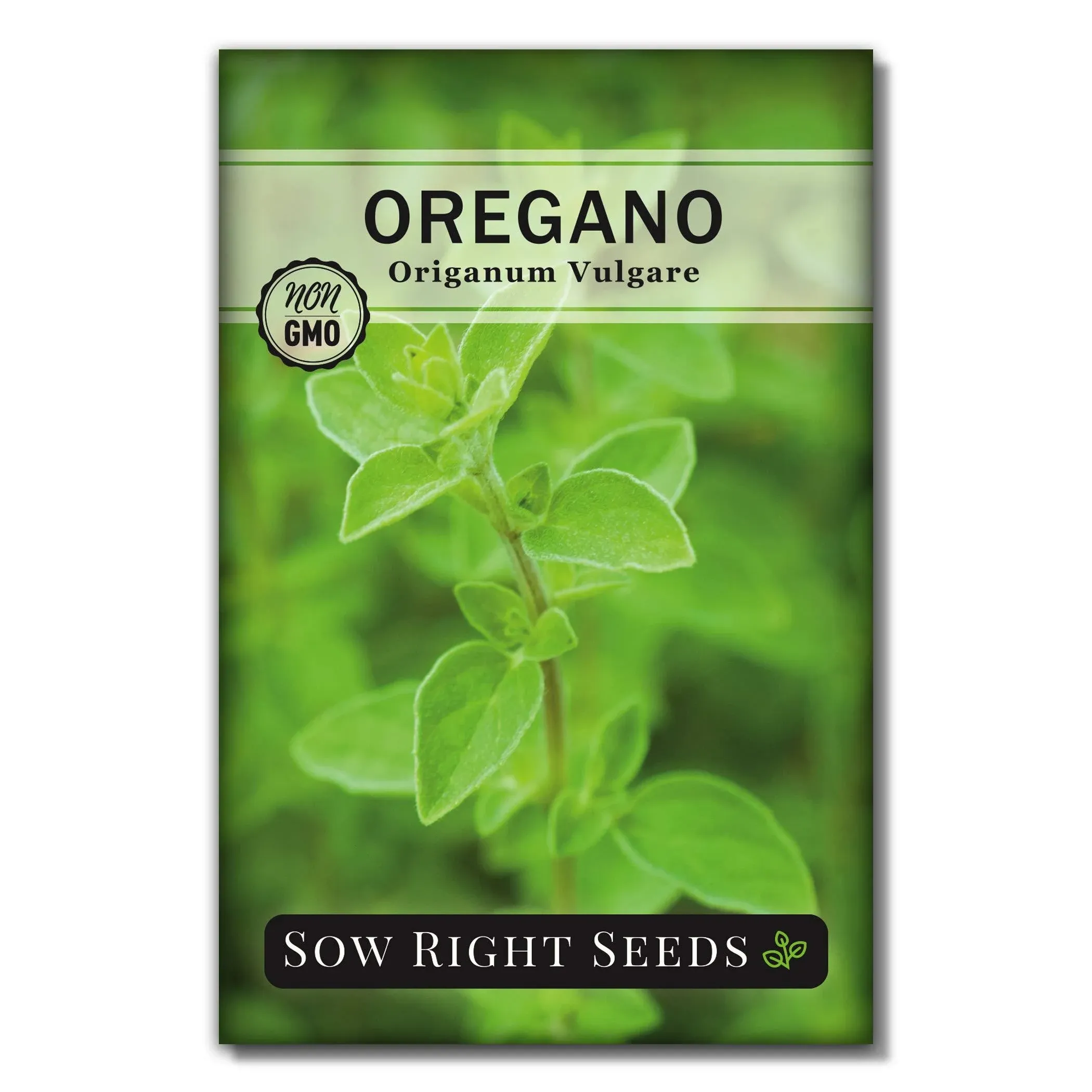 Sow Right Seeds - Oregano Seed for Planting - Non-GMO Heirloom- Instructions to Plant and Grow a Kitchen Herb Garden - Indoor or Outdoor - Gardening Gift - Produces Flavorful Leaves for Seasoning (1)