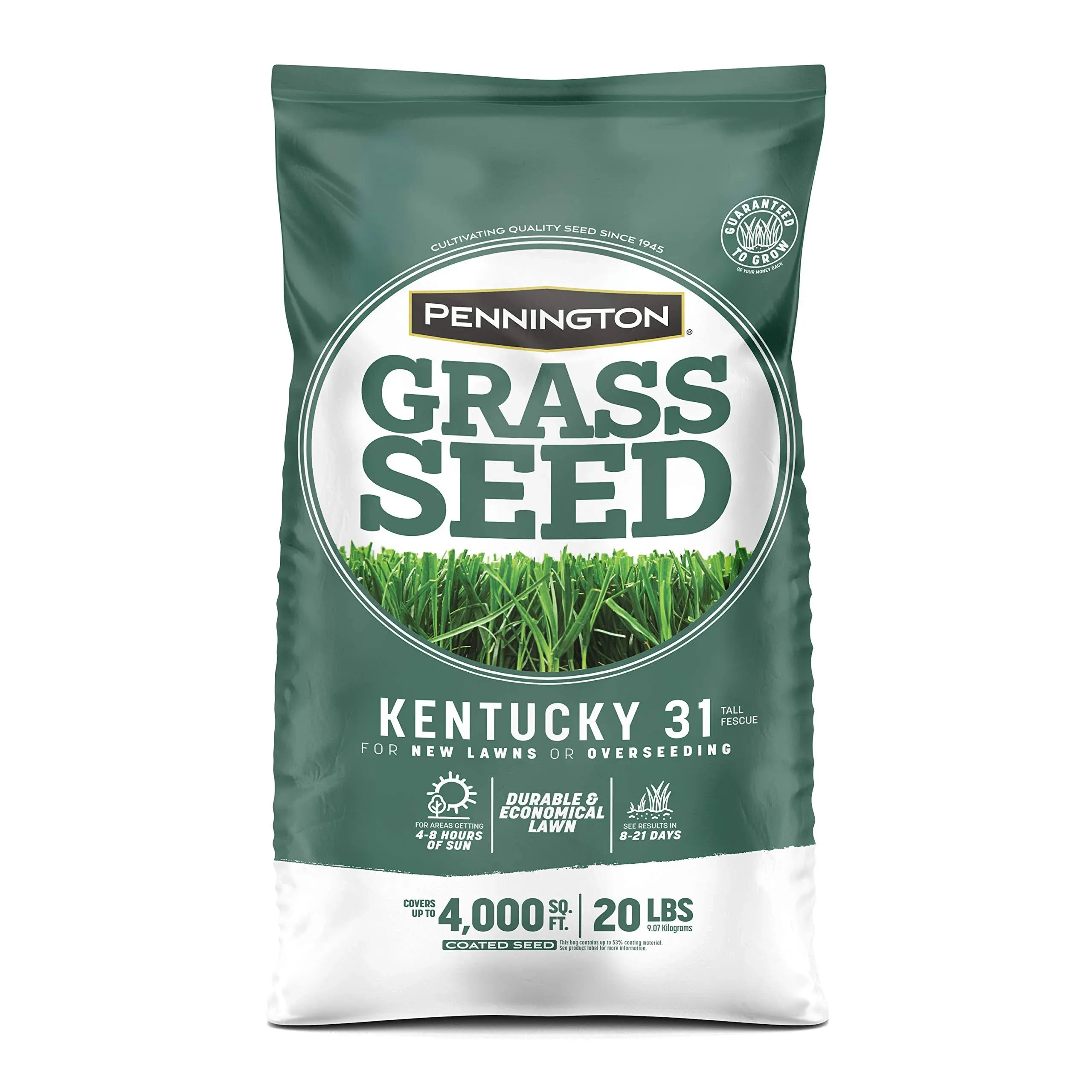 Pennington Kentucky 31 40-lb Tall Fescue Grass Seed