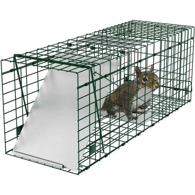 Oxgord Live Animal Trap Humane Catch & Release Cage Cat Rabbit Rodents 2-Door Foldable Heavy Duty Trapping Kit (Large )(32" X 12" X 12")