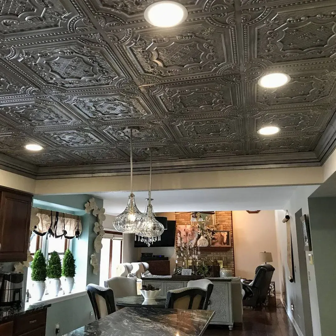 from Plain to Beautiful in Hours Elizabethan Shield Faux Tin/ PVC 24-in x 24-in 10-Pack Aged Silver Textured Surface-Mount Ceiling Tile