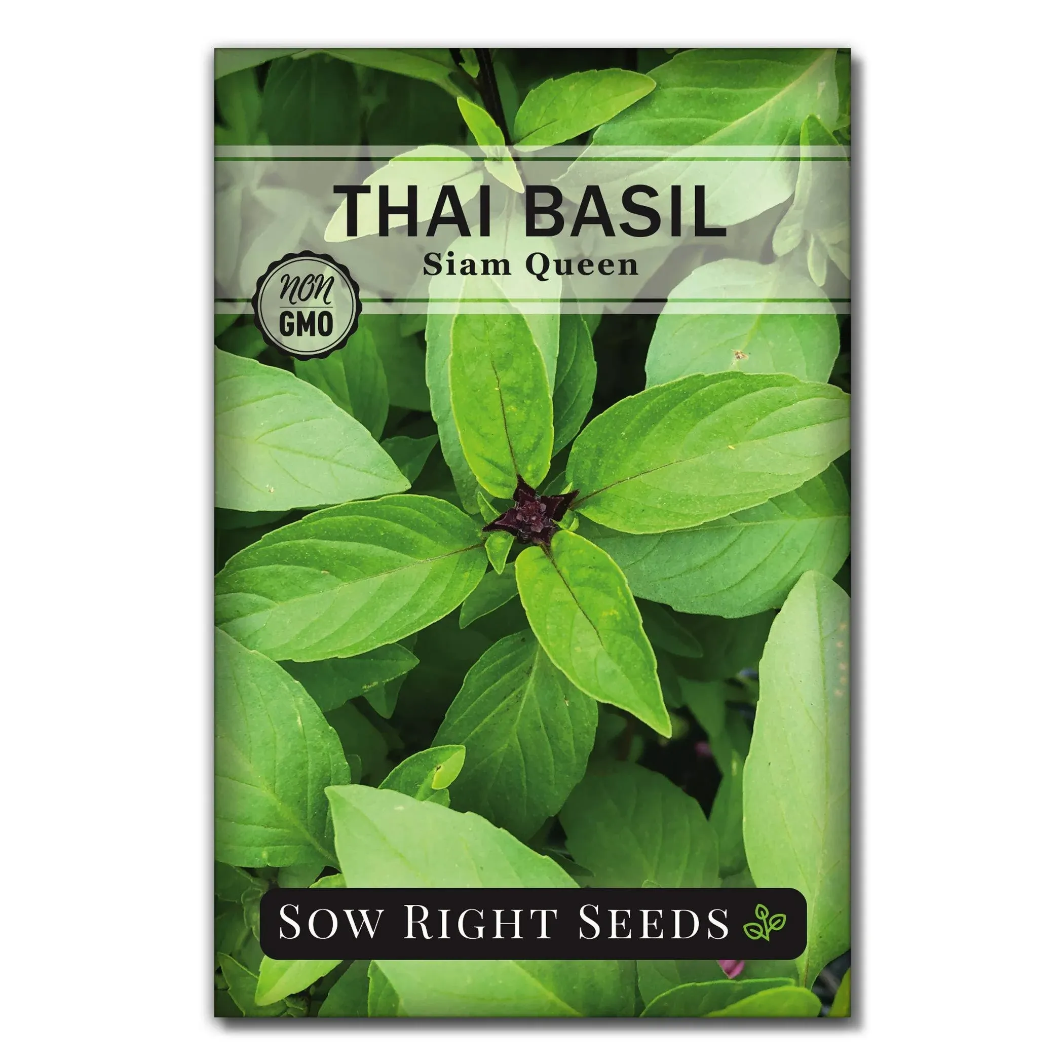 Thai Basil