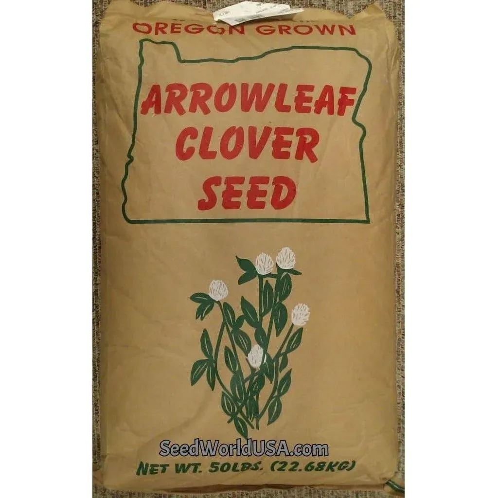 Yuchi Arrowleaf Clover Seed