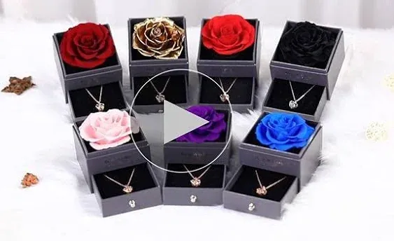 Preserved Real Rose Drawer with Heart Necklace I Love You in 100 Languages Gift 