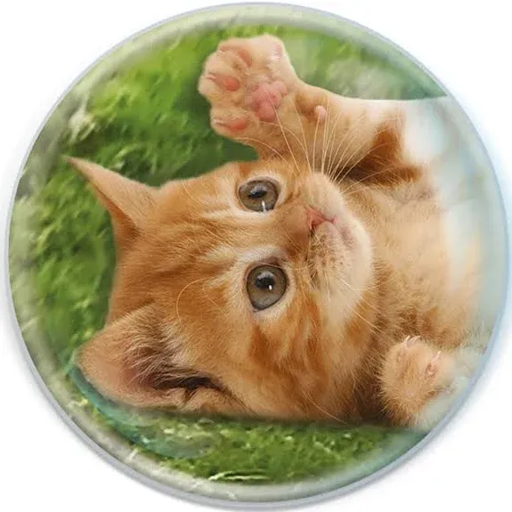 Magnidome - Kitten Magnet from Deluxbase. Crystal Glass Fridge Magnet. Cute Round and Strong Magnets for Refrigerator Magnets, Home Decor and Animal Magnets for Locker Decorations for Kids