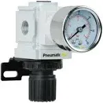 PneumaticPlus PPR2-N02BG-4 Miniature Air Pressure Regulator 1/4&#034; NPT - Gauge,